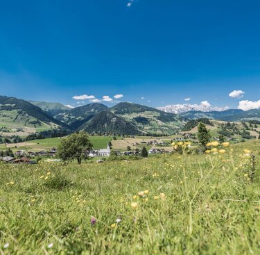 Embach | © Holiday Region National Park Hohe Tauern 